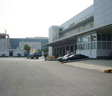 Plants: image 2 0f 9 thumb