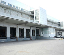 Plants: image 3 0f 9 thumb