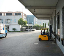 Plants: image 4 0f 9 thumb