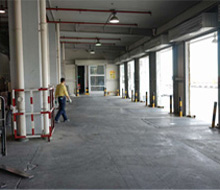 Plants: image 5 0f 9 thumb