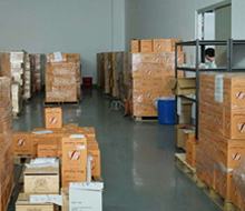 Plants: image 6 0f 9 thumb