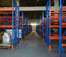 Plants: image 8 0f 9 thumb